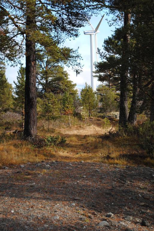 Lusaeter Timber Cabins Heidal Εξωτερικό φωτογραφία